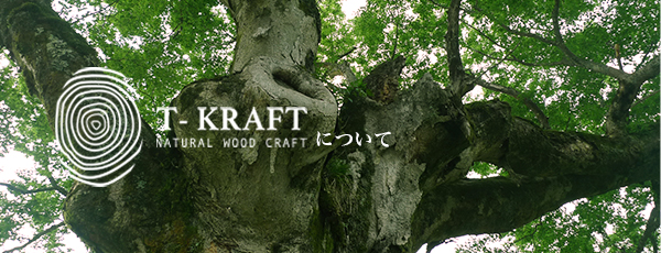 T-KRAFTについて